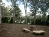 794 River Road, Tinana South, Qld 4650-Image