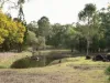 794 River Road, Tinana South, Qld 4650-Image