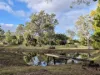 794 River Road, Tinana South, Qld 4650-Image