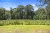 795 Gembrook-Launching Place Road, Hoddles Creek, Vic 3139-Image
