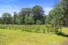 795 Gembrook-Launching Place Road, Hoddles Creek, Vic 3139-Image