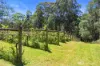 795 Gembrook-Launching Place Road, Hoddles Creek, Vic 3139-Image