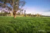 798 Steels Creek Road, Steels Creek, Vic 3775-Image