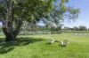 799 Lawrence Road, Southgate, NSW 2460-Image