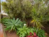 7A Baudin Street, Woodcroft, SA 5162-Image