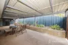 7A Chrisp Place, Yanchep, WA 6035-Image