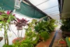 7a Endeavour Avenue, Bull Creek, SA 5157-Image