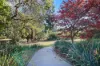 7A Muirhead Close, Warragul, Vic 3820-Image