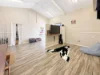 7B SERENITY COURT, Tolga, Qld 4882-Image