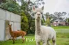 7C Francis Crescent, Mount Evelyn, Vic 3796-Image