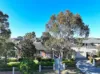 8-10 Crestwood Avenue, Glenmore Park, NSW 2745-Image