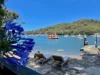 8-10 Douglass Estate, McCarrs Creek, NSW 2105-Image