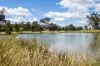 8/42 Adder Street, Harrison, ACT 2914-Image