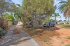 8 Abraham Drive, Whyalla Stuart, SA 5608-Image