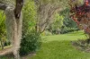8 Amarillo Drive, Dunbible, NSW 2484-Image