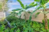 8 Annaburroo Crescent, Tiwi, NT 0810-Image