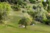 8 Anthony Court, Summerholm, Qld 4341-Image