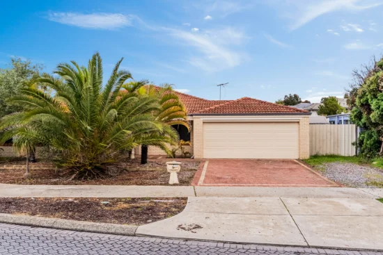 8 Ashendon Boulevard, Hammond Park, WA 6164