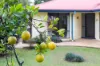 8 Ashgrove Drive, Cooroy, Qld 4563-Image