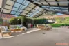 8 Banyule Grove, Conder, ACT 2906-Image
