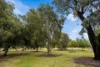 8 Barbel Close, East Cannington, WA 6107-Image