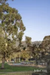 8 Barina Avenue, Mooroolbark, Vic 3138-Image