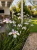 8 Barrhead Street, Cohuna, Vic 3568-Image