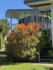 8 Beattie Court, Tin Can Bay, Qld 4580-Image