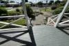 8 BELL Court, Dalby, Qld 4405-Image