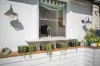 8 Ben Eden Street, Bondi Junction NSW 2022-Image
