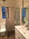 8 Berith Street, Auburn, NSW 2144-Image