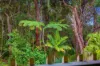 8 Binbilla Drive, Bonny Hills, NSW 2445-Image