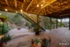 8 Birmingham Close, Telina, Qld 4680-Image