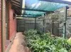 8 Blackburn Court, Elizabeth East, SA 5112-Image