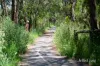 8 Blenheim Street, Heathmont, Vic 3135-Image