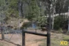 8 Bluegum Close, Singleton, NSW 2330-Image