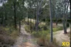 8 Bluegum Close, Singleton, NSW 2330-Image