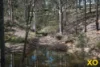 8 Bluegum Close, Singleton, NSW 2330-Image