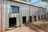 8 Brazier Road, Kleinton, Qld 4352-Image