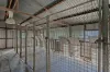 8 Brazier Road, Kleinton, Qld 4352-Image