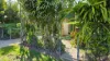 8 Bridge Street, Gayndah, Qld 4625-Image
