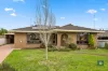 8 Bryan Avenue, Colac, Vic 3250
