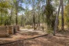 8 Bucknall Court, Regency Downs, Qld 4341-Image