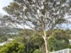 8 BUNGAN HEAD ROAD, Newport, NSW 2106-Image