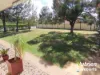 8 Burbank Street, Chinchilla, Qld 4413-Image