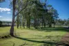 8 Bushland Drive, Taree, NSW 2430-Image