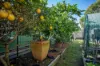 8 Bushland Drive, Taree, NSW 2430-Image