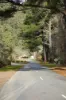 8 Camp Hill Road, Walhalla, Vic 3825-Image