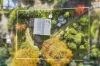 8 Camp Hill Road, Walhalla, Vic 3825-Image