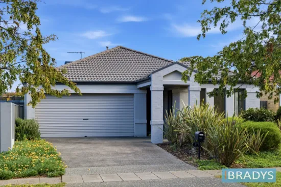 8 Cape York Street, Harrison, ACT 2914